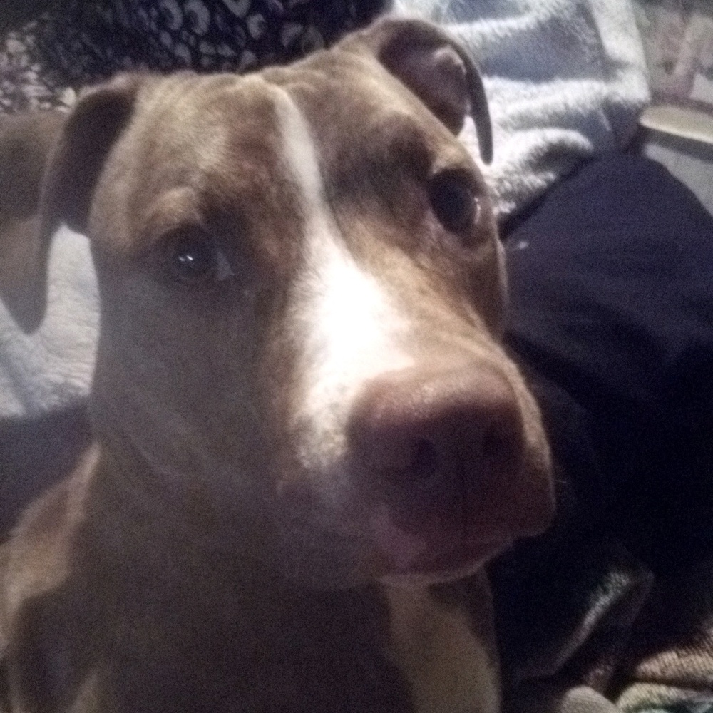 Meet your Posher, Reanna